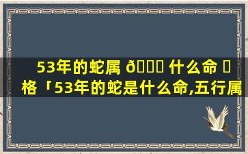 53年的蛇属 🍀 什么命 ☘ 格「53年的蛇是什么命,五行属性」